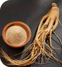Red Ginseng